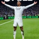 EA FC 25 (OFFLINE PC)