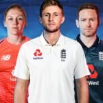 Cricket 19